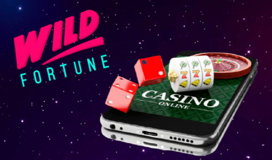 Wild Fortune Casino 3