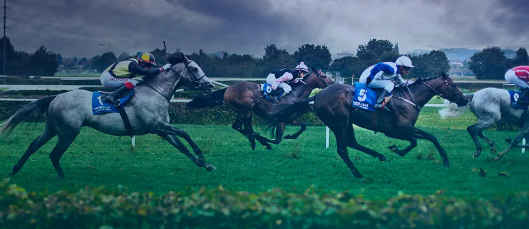 1Bet – szczegółowy przegląd kasyna online, bonusy, promocje i kody promocyjne 2025 2
